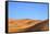 Camels in Desert Landscape, Merzouga, Morocco, North Africa, Africa-Neil-Framed Stretched Canvas