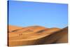 Camels in Desert Landscape, Merzouga, Morocco, North Africa, Africa-Neil-Stretched Canvas