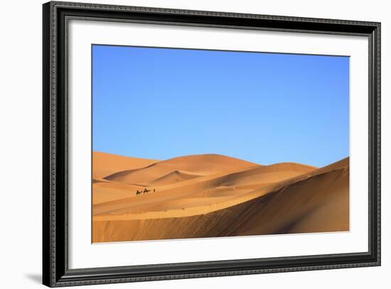 Camels in Desert Landscape, Merzouga, Morocco, North Africa, Africa-Neil-Framed Photographic Print