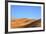 Camels in Desert Landscape, Merzouga, Morocco, North Africa, Africa-Neil-Framed Photographic Print