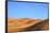 Camels in Desert Landscape, Merzouga, Morocco, North Africa, Africa-Neil-Framed Photographic Print