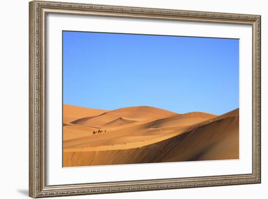 Camels in Desert Landscape, Merzouga, Morocco, North Africa, Africa-Neil-Framed Photographic Print