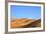 Camels in Desert Landscape, Merzouga, Morocco, North Africa, Africa-Neil-Framed Photographic Print