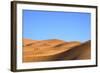 Camels in Desert Landscape, Merzouga, Morocco, North Africa, Africa-Neil-Framed Photographic Print