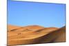 Camels in Desert Landscape, Merzouga, Morocco, North Africa, Africa-Neil-Mounted Photographic Print