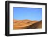 Camels in Desert Landscape, Merzouga, Morocco, North Africa, Africa-Neil-Framed Photographic Print
