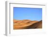 Camels in Desert Landscape, Merzouga, Morocco, North Africa, Africa-Neil-Framed Photographic Print