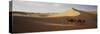 Camels in Desert Morocco Africa-null-Stretched Canvas