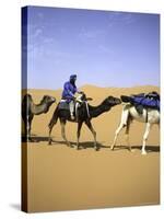 Camels in Desert, Morocco-Michael Brown-Stretched Canvas