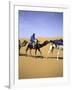 Camels in Desert, Morocco-Michael Brown-Framed Photographic Print