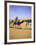 Camels in Desert, Morocco-Michael Brown-Framed Photographic Print