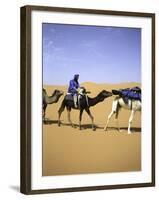 Camels in Desert, Morocco-Michael Brown-Framed Photographic Print