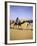 Camels in Desert, Morocco-Michael Brown-Framed Photographic Print