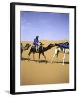 Camels in Desert, Morocco-Michael Brown-Framed Photographic Print