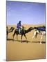 Camels in Desert, Morocco-Michael Brown-Mounted Photographic Print