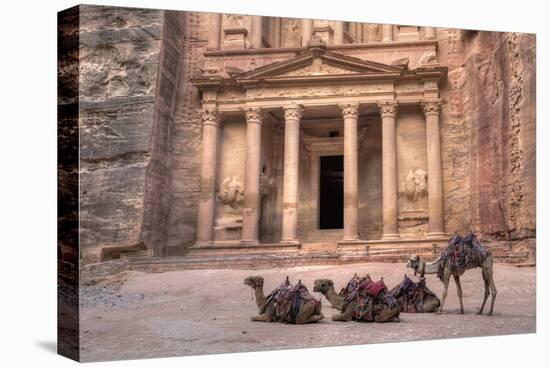 Camels in Front of the Treasury, Petra, Jordan, Middle East-Richard Maschmeyer-Stretched Canvas