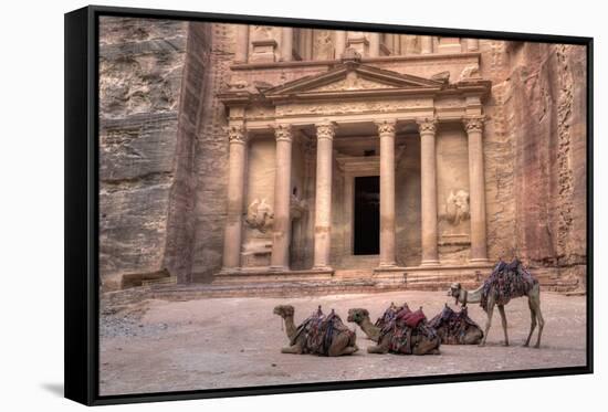 Camels in Front of the Treasury, Petra, Jordan, Middle East-Richard Maschmeyer-Framed Stretched Canvas