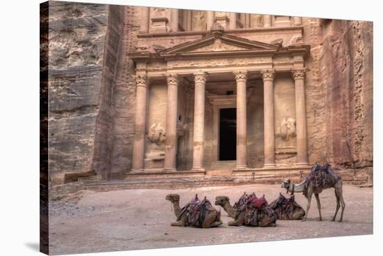 Camels in Front of the Treasury, Petra, Jordan, Middle East-Richard Maschmeyer-Stretched Canvas