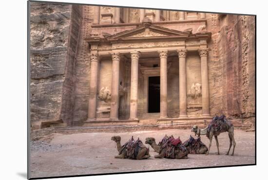 Camels in Front of the Treasury, Petra, Jordan, Middle East-Richard Maschmeyer-Mounted Photographic Print