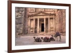 Camels in Front of the Treasury, Petra, Jordan, Middle East-Richard Maschmeyer-Framed Photographic Print