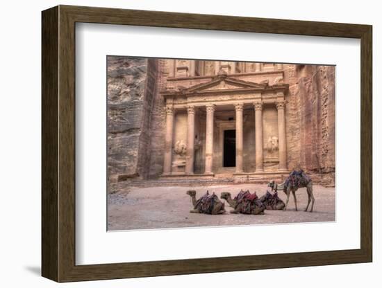 Camels in Front of the Treasury, Petra, Jordan, Middle East-Richard Maschmeyer-Framed Photographic Print