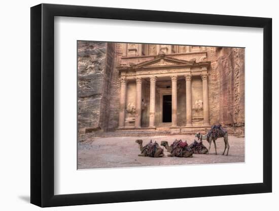 Camels in Front of the Treasury, Petra, Jordan, Middle East-Richard Maschmeyer-Framed Photographic Print