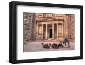 Camels in Front of the Treasury, Petra, Jordan, Middle East-Richard Maschmeyer-Framed Photographic Print