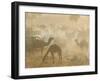 Camels in the Desert Morning Sun, Pushkar Camel Fair, India-Walter Bibikow-Framed Photographic Print