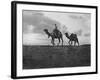 Camels in the Desert Outside Cairo, Egypt, C1920S-null-Framed Giclee Print