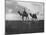 Camels in the Desert Outside Cairo, Egypt, C1920S-null-Mounted Giclee Print