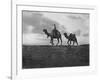 Camels in the Desert Outside Cairo, Egypt, C1920S-null-Framed Giclee Print