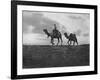 Camels in the Desert Outside Cairo, Egypt, C1920S-null-Framed Giclee Print