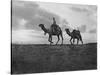 Camels in the Desert Outside Cairo, Egypt, C1920S-null-Stretched Canvas