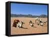 Camels in the Desert, Wadi Rum, Jordan, Middle East-Alison Wright-Framed Stretched Canvas