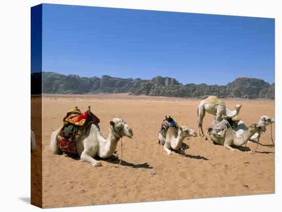 Camels in the Desert, Wadi Rum, Jordan, Middle East-Alison Wright-Stretched Canvas