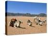 Camels in the Desert, Wadi Rum, Jordan, Middle East-Alison Wright-Stretched Canvas