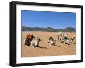 Camels in the Desert, Wadi Rum, Jordan, Middle East-Alison Wright-Framed Photographic Print