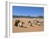 Camels in the Desert, Wadi Rum, Jordan, Middle East-Alison Wright-Framed Photographic Print