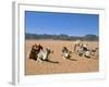 Camels in the Desert, Wadi Rum, Jordan, Middle East-Alison Wright-Framed Photographic Print