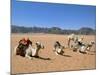 Camels in the Desert, Wadi Rum, Jordan, Middle East-Alison Wright-Mounted Photographic Print