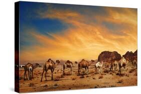 Camels In Wadi Rum-hitdelight-Stretched Canvas