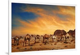 Camels In Wadi Rum-hitdelight-Framed Art Print