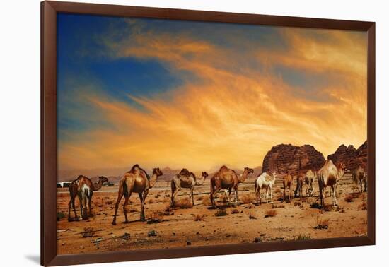 Camels In Wadi Rum-hitdelight-Framed Art Print