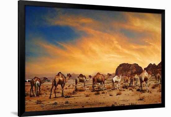 Camels In Wadi Rum-hitdelight-Framed Art Print