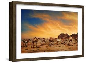 Camels In Wadi Rum-hitdelight-Framed Premium Giclee Print