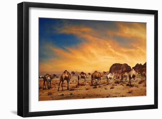 Camels In Wadi Rum-hitdelight-Framed Premium Giclee Print