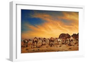 Camels In Wadi Rum-hitdelight-Framed Premium Giclee Print