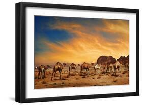 Camels In Wadi Rum-hitdelight-Framed Art Print