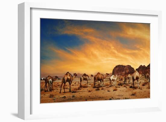 Camels In Wadi Rum-hitdelight-Framed Art Print