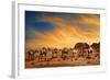 Camels In Wadi Rum-hitdelight-Framed Art Print